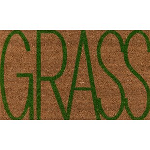 Evideco Outdoor Front Door Mat Pixie Artificial Grass Rug 24x16 Green