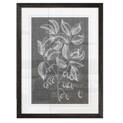 "feuillage graphique v" par paul cezanne-cadre photo, reproduction d’art