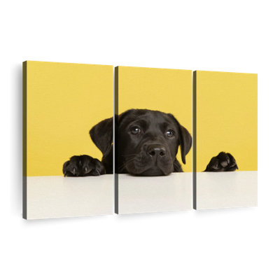 «Cute Black Lab», 3 pièces sur toile