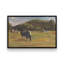 «Resting Cows I» par Stephen Calcasola, reproduction d'art sur toile-1796177794-1796177806-1796177016