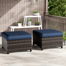 Anahit Wicker Outdoor Ottoman (Set of 2)
