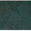 Papier peint botanique avec feuilles tropicales texturées et vert foncé