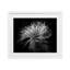 «Twist Botanical Leaves Contrast», reproduction encadrée sous verre, conception de Phillip Flowers-779821483-779821487