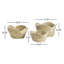 Asla Rattan Decorative Bowl Set