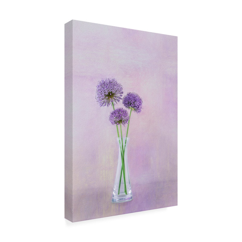 Gaille Grey  3 Allium Canvas Art, L 16 po x H 24 po