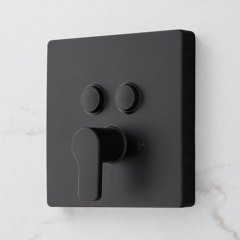 Système de douche simple avec douchette Hibiscus, Matte Black