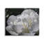 «Blooming White Petals», estampe numérique par Lil 'Rue-291646199-291646197