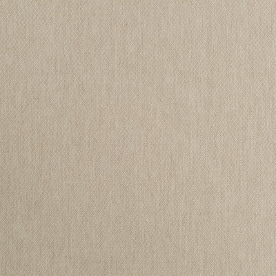 Maxon Fabric