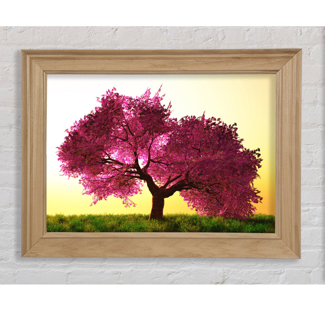 The Pink Tree Blossom Hilltop - Einzelner Bilderrahmen Kunstdrucke