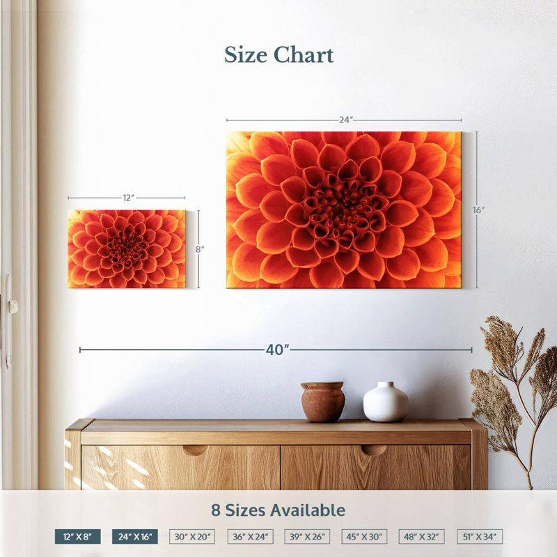 Dahlia orange Harnek, H 16 po x l 24 po