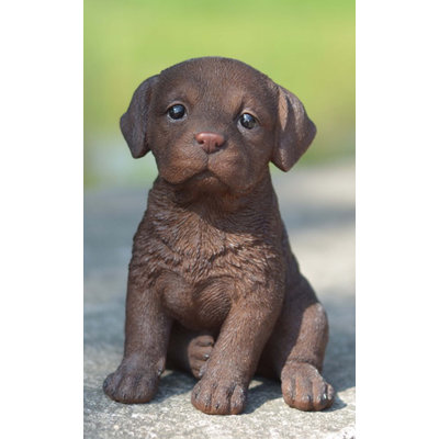 Chocolate Brown Labrador Puppy Statue