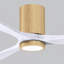 Olivier Ceiling Fan with LED Lights-709095631-768523490-693345874