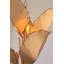 Banana Leaf 6-Light Chandelier - Gold/Dark Edging-49634723
