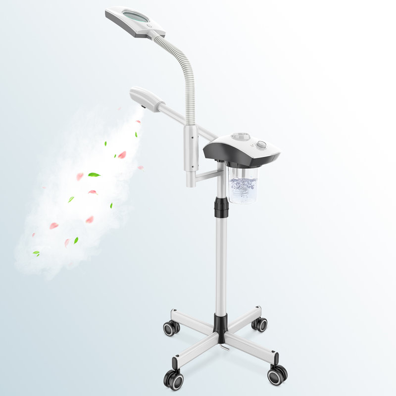Cuiseur à vapeur 2 en 1 avec lampe grossissante 3X, Blanc