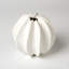 White Sea Star Vase