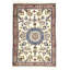 Raquane Oriental Area Rug