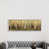 White Framed Canvas is unavailable