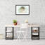 Seal - Wall Art-23167748-23699572