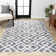 Scituate Retro Trellis High-Low Cream/Gray Rug