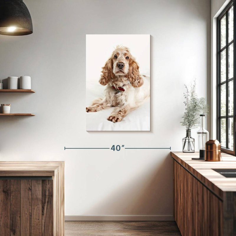 Resting Cocker Spaniel, 36" H x 24" W