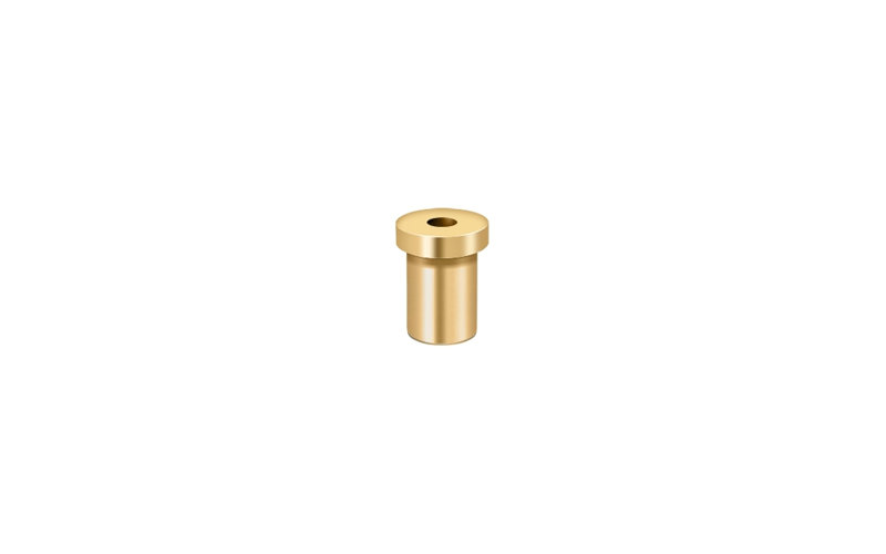 25'' x 20'' Wrap Around Hinge, PVD Polished Brass