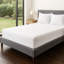 Tencel Mattress Protector-1254107028