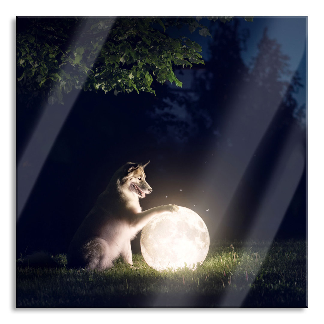 Glasbild Hund mit leuchtendem Mond bei Nacht