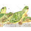 Napperons en polyester tressé petites tortues aquatiques | Ensemble de 4