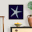 « Indigo shells IV » par vision studio-impression-538534982-538534983