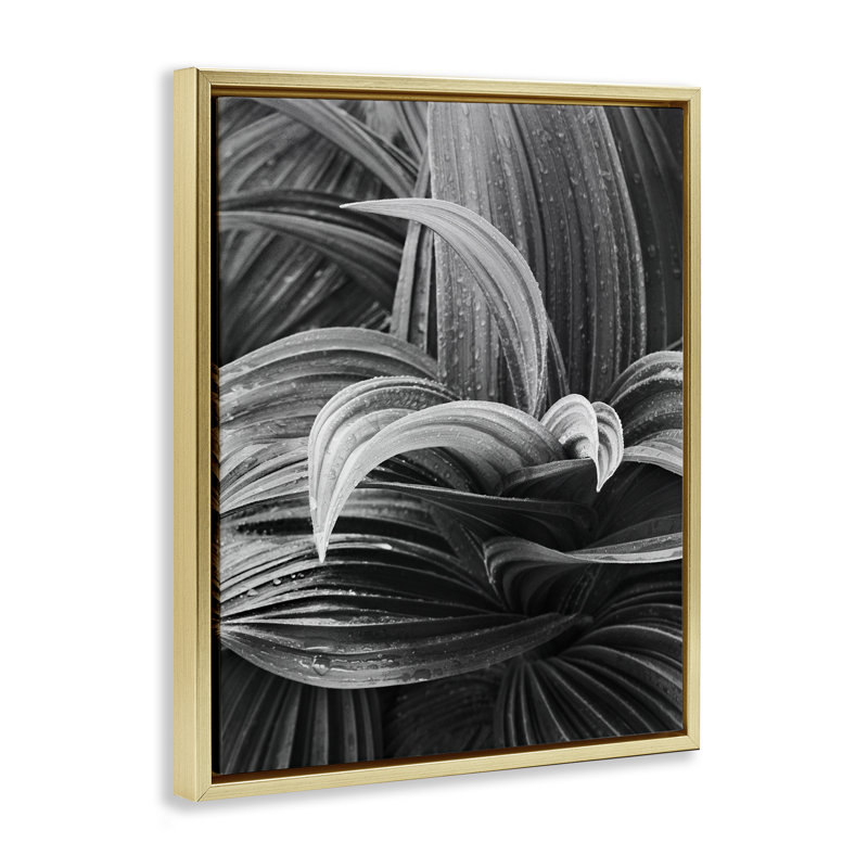 «Wet Leaves» par Chip Forelli, H 31 po x l 25 po, Cadre flottant métallique doré