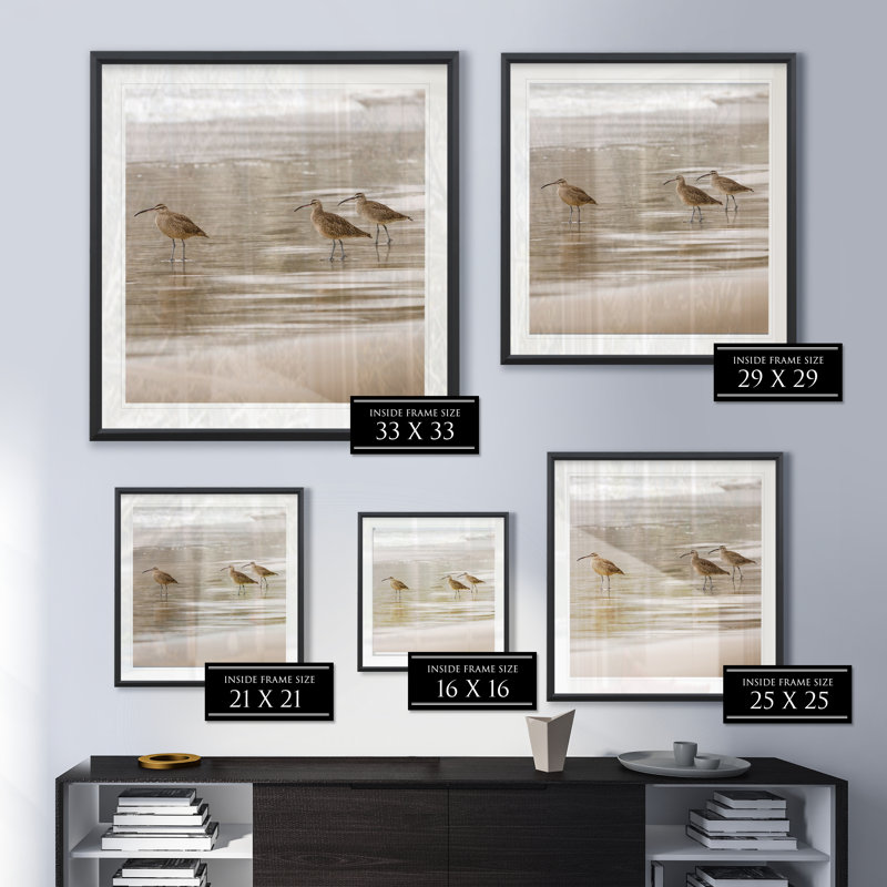 Shore Birds I - reproduction de cadre photo, H 30,5 po x l 30,5 po x P 1,5 po