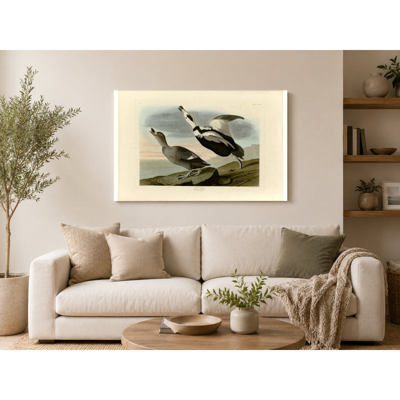 Pied de canard, plaque 332 (oiseaux d'Amérique) - art mural sur toile paysage, 20" W x 16" H