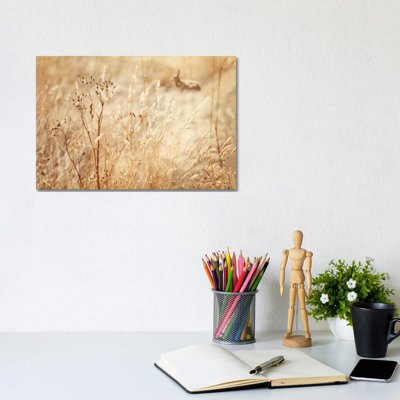 Rabbit In The Grass - Wrapped Canvas Print