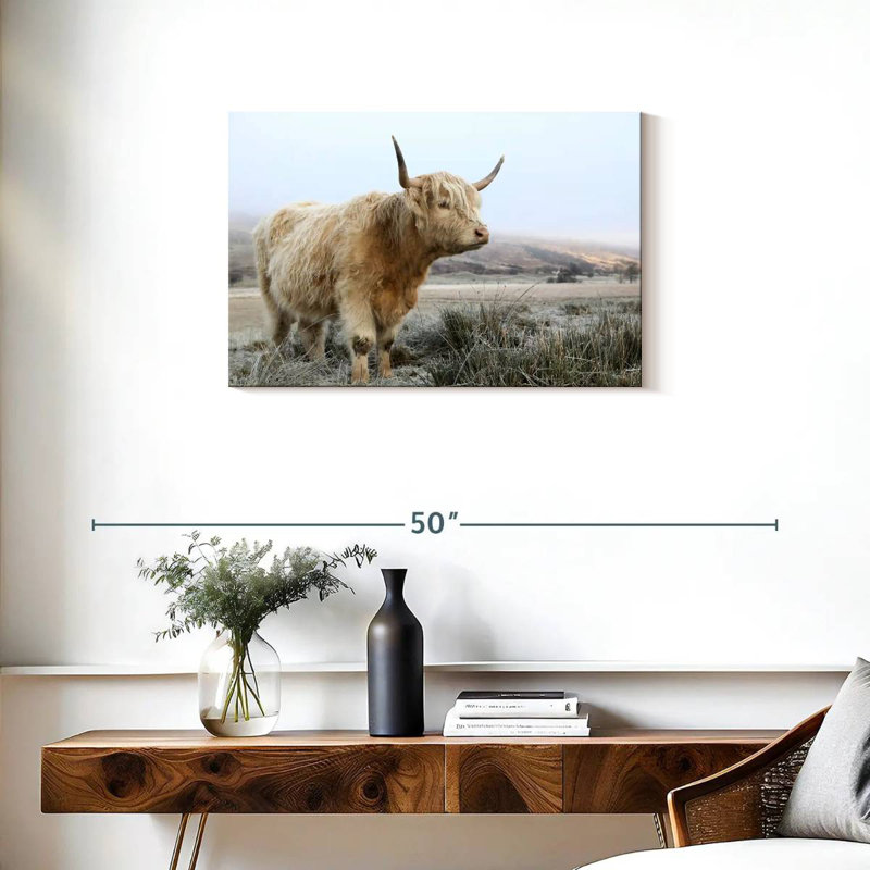 Brampt Wild White Highland Cow, 20" H x 30" W