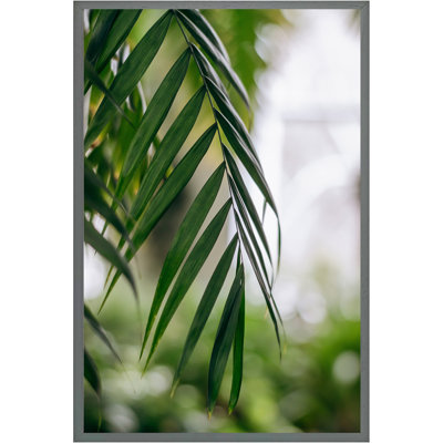 Accursia Single Picture Frame Print