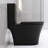 Matte Black Toilet With Dual Flush, 1.1/1.6 , Skirted Design For Modern Bathroom Look Powerful 1.1 & 1.6 Easy Cleaning-123050692