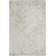 Linsly Geometric Area Rug in Light Green/Ivory