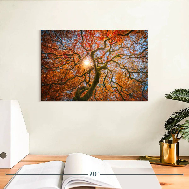 Harnek Japanese Maple Tree, 8" H x 12" W