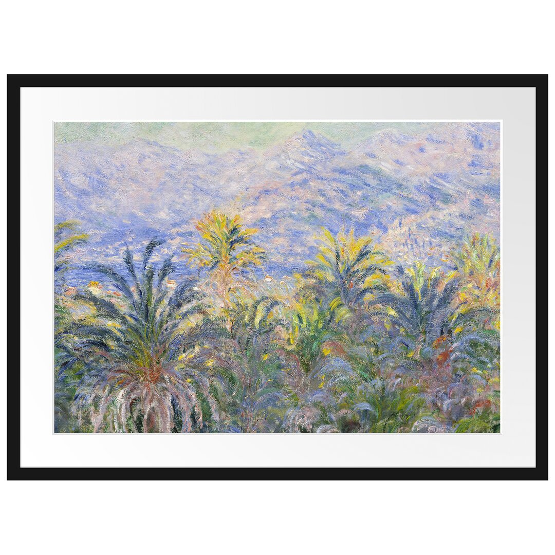 Gerahmter Kunstdruck Palm Trees in Bordighera von Claude Monet