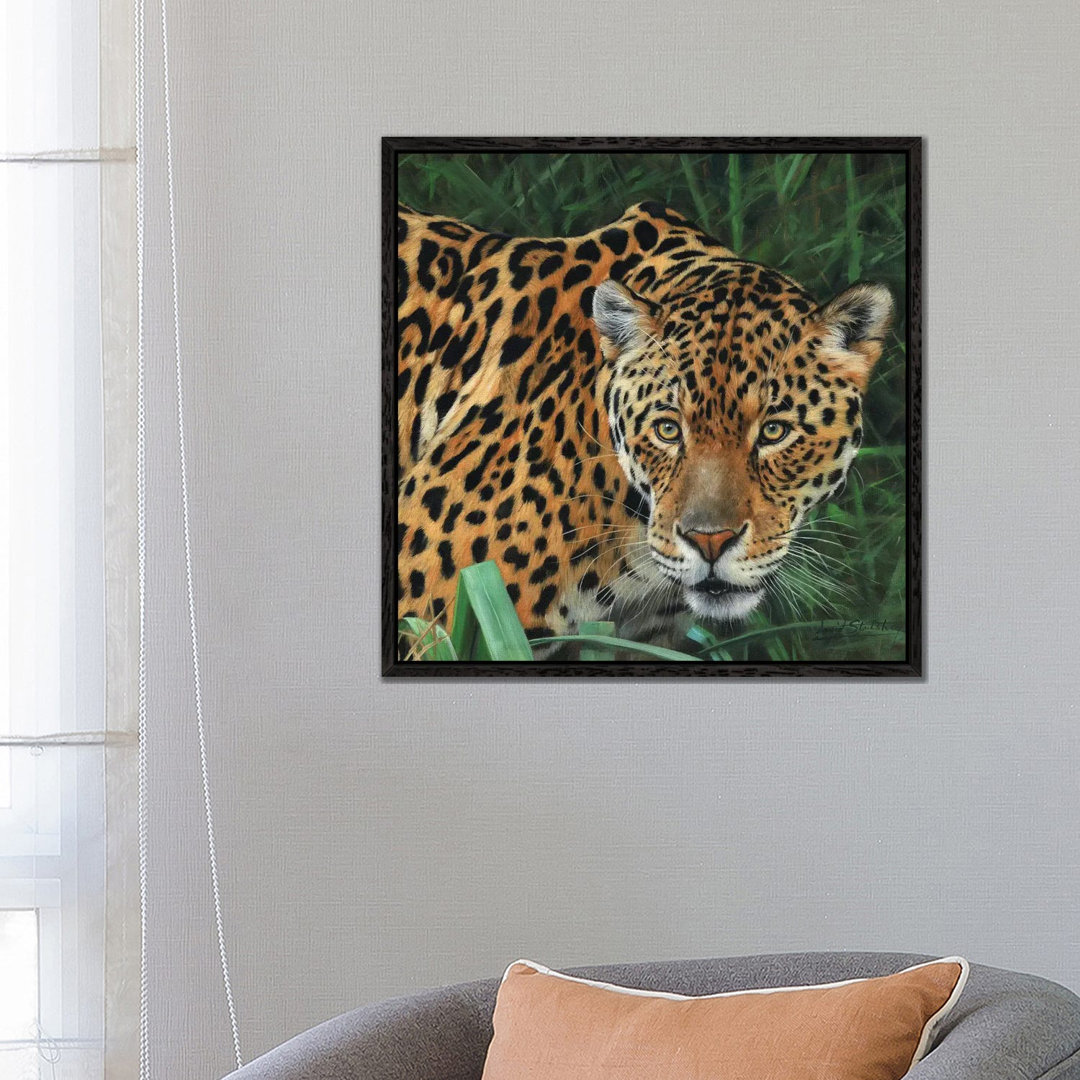 Jaguar Big Cat II von David Stribbling - Galerie- Giclée auf Leinwand