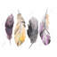 Bohemian Feather Set Print On Canvas