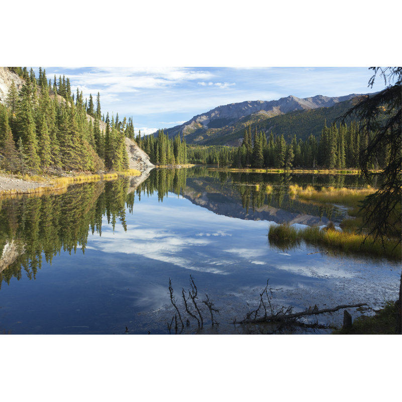 Very Still Horseshoe Lake At Denali National Park, Alaska by Dhughes9 - No Frame Print on Canvas, 61cm H x 91cm W