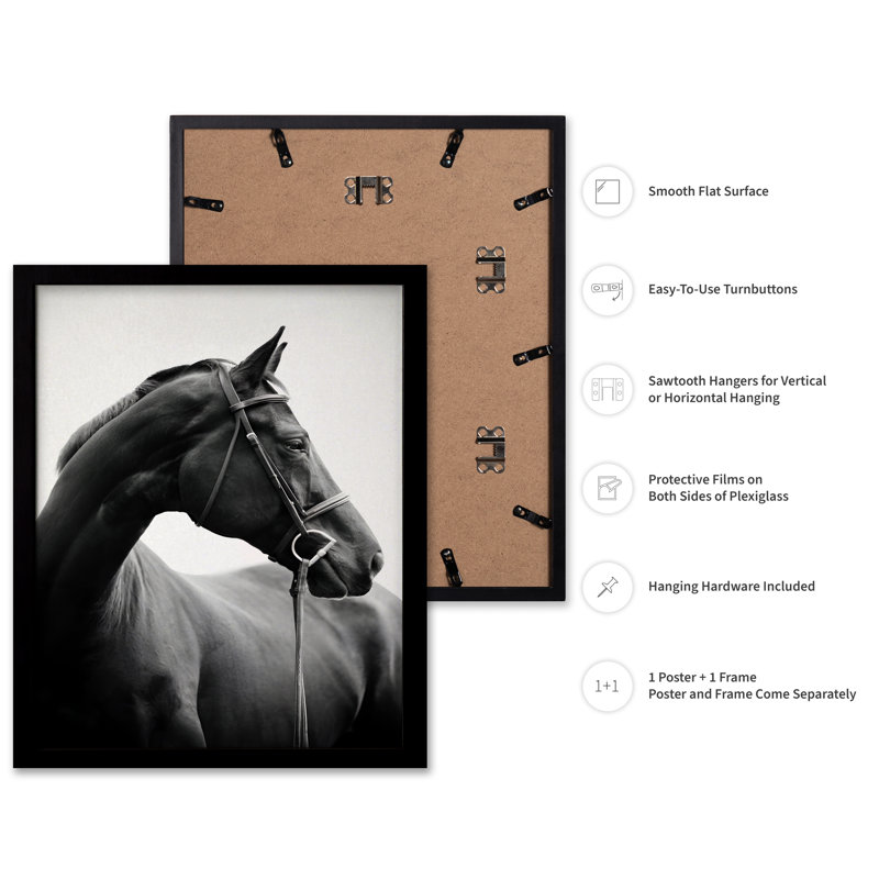 Portrait de cheval n ° 2, Black Framed, Poster, 24"H x 32"W