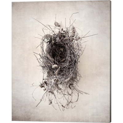 " Nest II " by Debra Van Swearingen