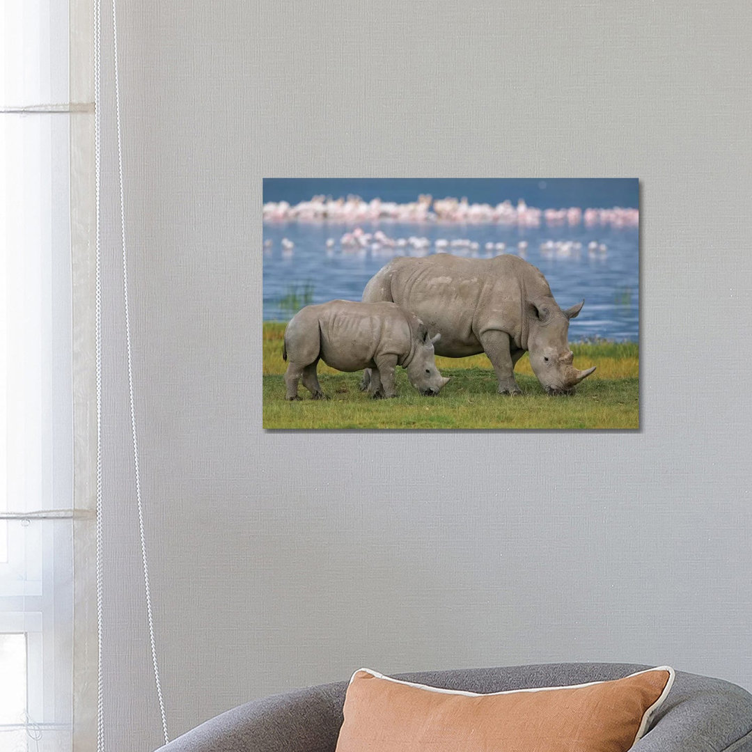 White Rhinoceros Mother And Juvenile Grazing, Lake Nakuru, Kenya