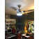 Malicai Ceiling Fan with LED Lights