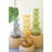 LARGE GLASS BUBBLE VASE - AMBER