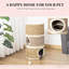 Cat Hideaway, Cat Condo