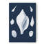 « coquillages blancs ii », impression sur toile-1226047807-1228587163