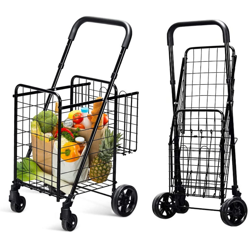 Alexanra 95cm H x 30.5cm W x 48cm D 20kg Hand Truck Trolley, Black